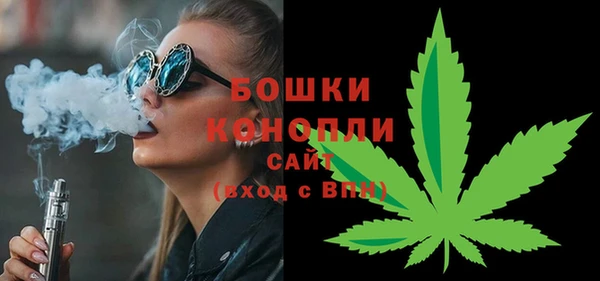 гашик Богданович