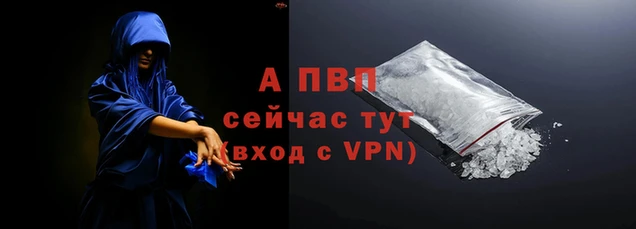 гашик Богданович