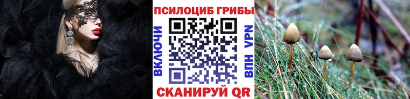 Псилоцибиновые грибы мухоморы закладка Раменское
